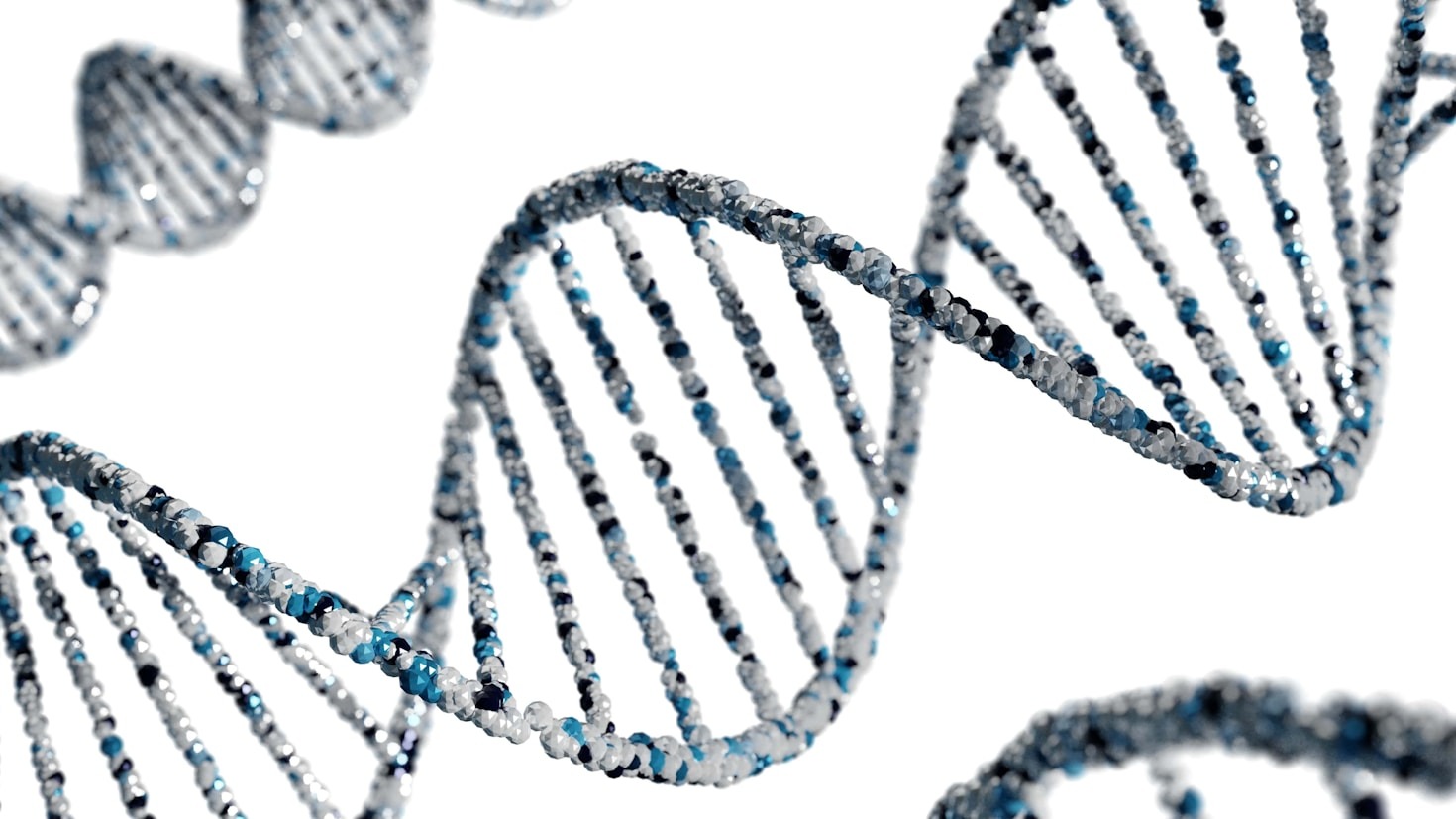 The Future of Beauty: Insights from Arigeo’s Portfolio